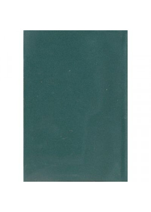 Sinal Verde [bolso] - 2